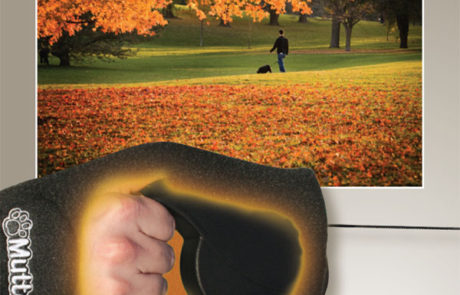 Website Designer Naperville