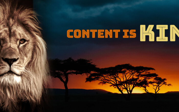 Content Is King, Website Design