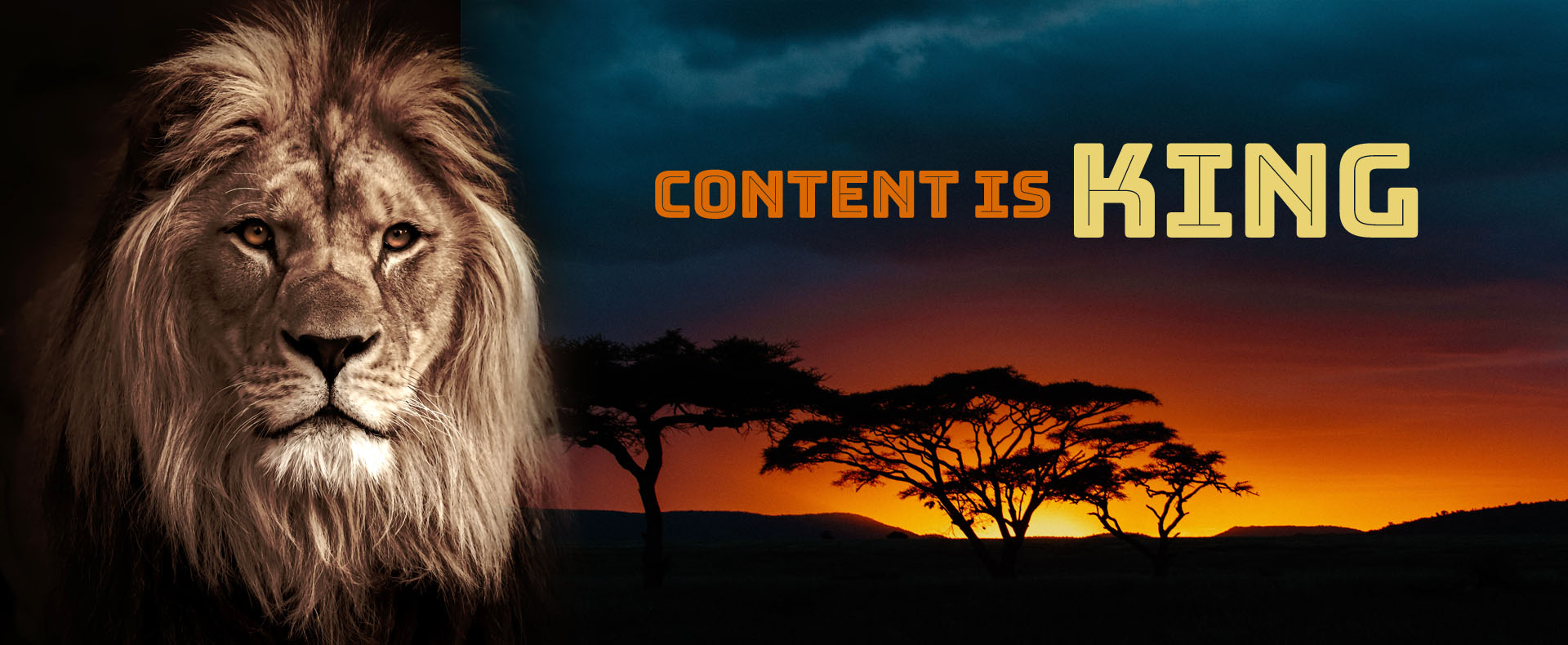 Content Is King, Website Design